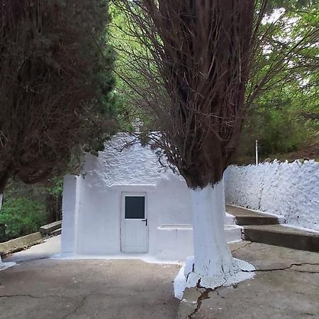 Traditional House In Asfendiou Agios Dimitrios  Buitenkant foto