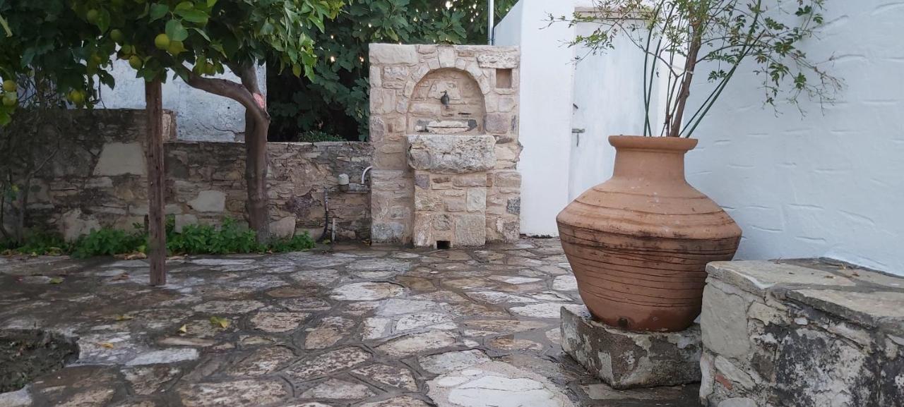 Traditional House In Asfendiou Agios Dimitrios  Buitenkant foto