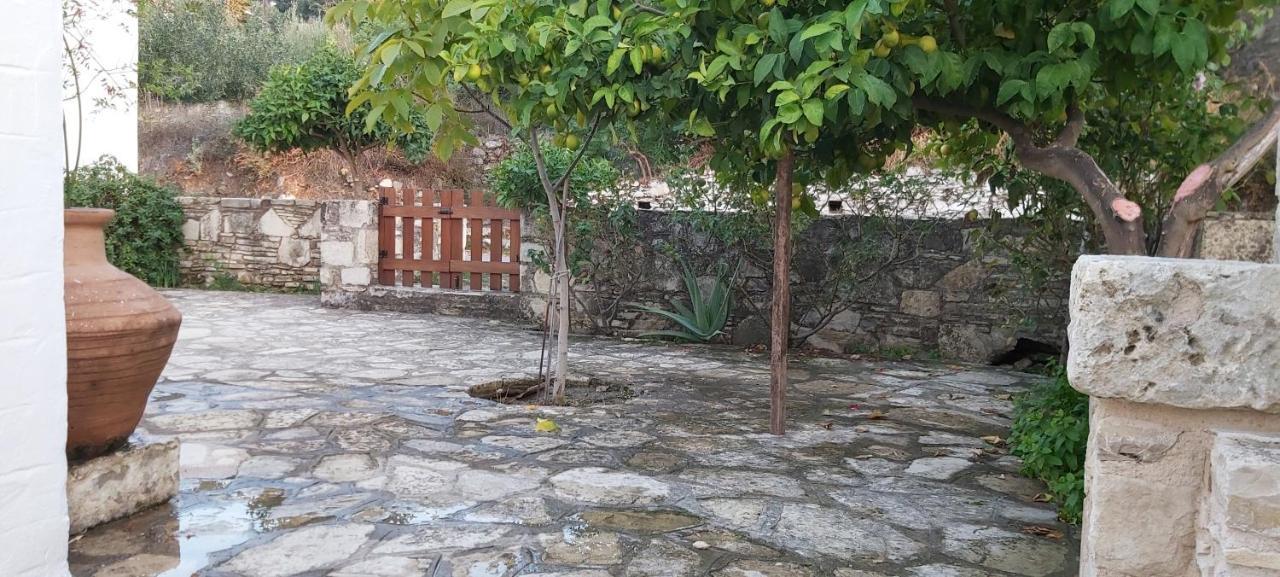 Traditional House In Asfendiou Agios Dimitrios  Buitenkant foto