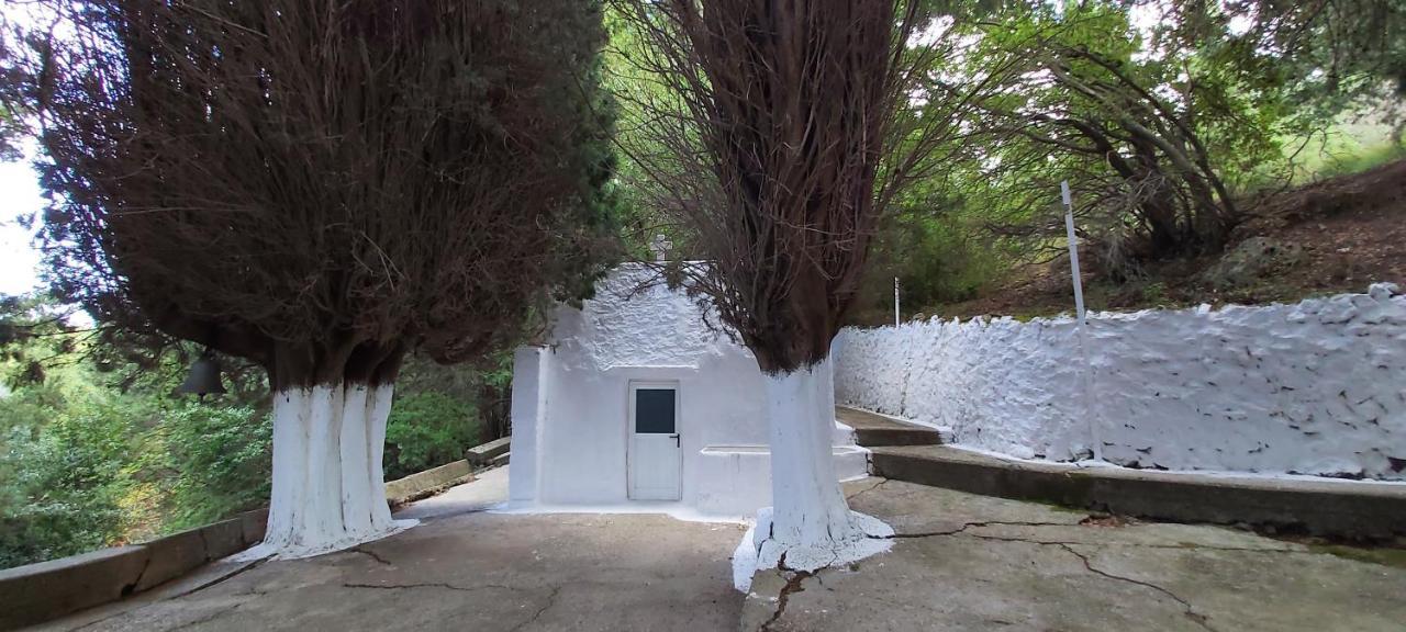 Traditional House In Asfendiou Agios Dimitrios  Buitenkant foto