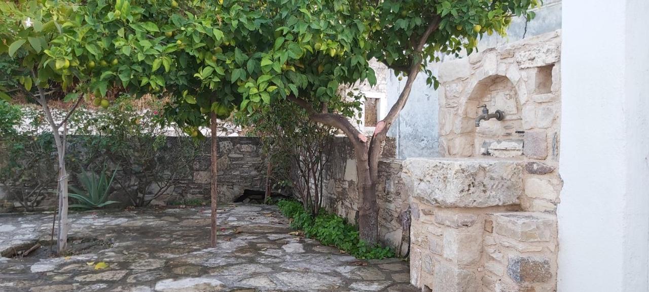 Traditional House In Asfendiou Agios Dimitrios  Buitenkant foto