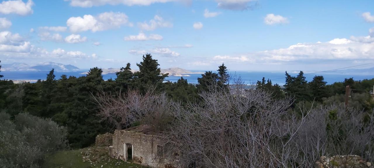 Traditional House In Asfendiou Agios Dimitrios  Buitenkant foto